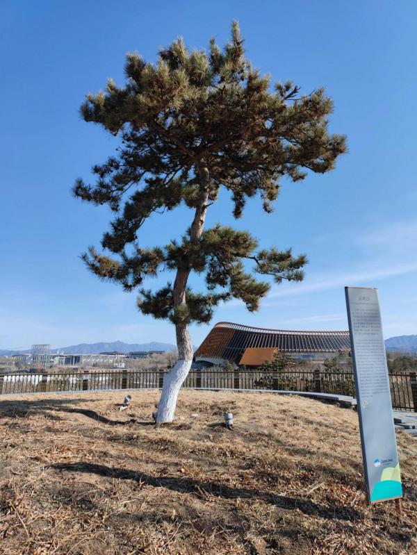 北京世園公園 園林系列