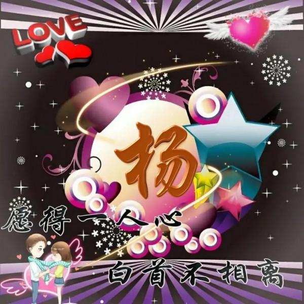 姓氏頭像--願得一人心 白首不相離