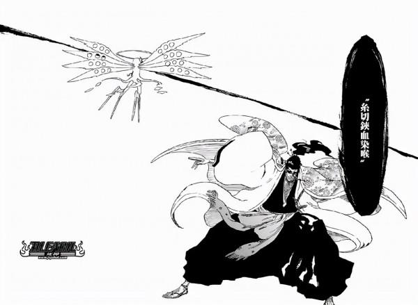 死神:最具有安全感的大叔——春水京樂 死神:最具有安全感的大叔——春水京樂