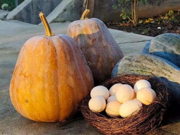 魯家峪的故事(2021－836)