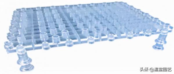 魚菜共生｜養魚不用換水，種菜不用施肥