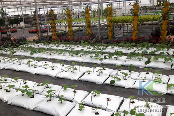 花卉無土栽培技術的應用 花卉無土栽培技術的應用