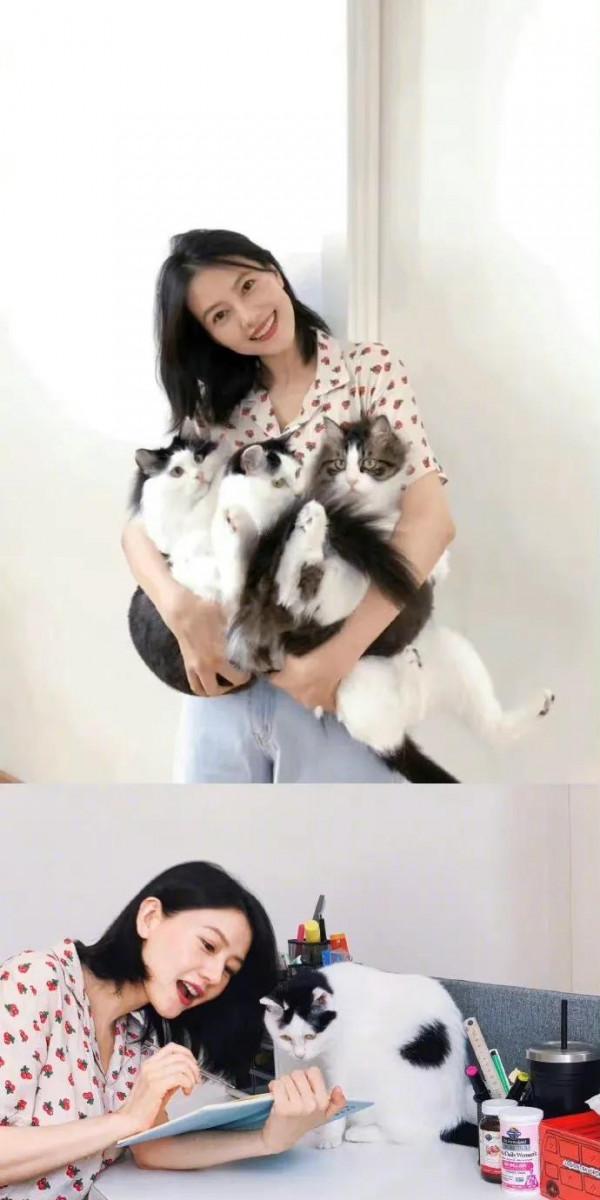 再來一波高圓圓，真是女神