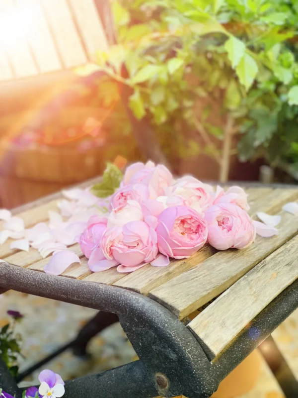 她改造的54㎡露臺花園，一個可在花叢中漫步的秘境，美不勝收