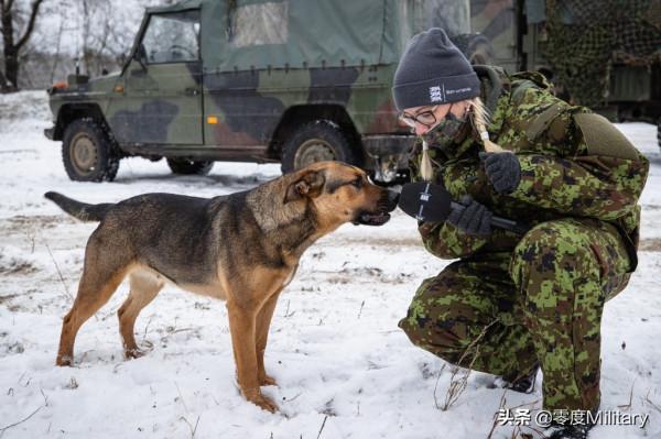 水積成川：車臣戰爭中被擊毀的T-72B坦克 採訪軍犬的波蘭女記者