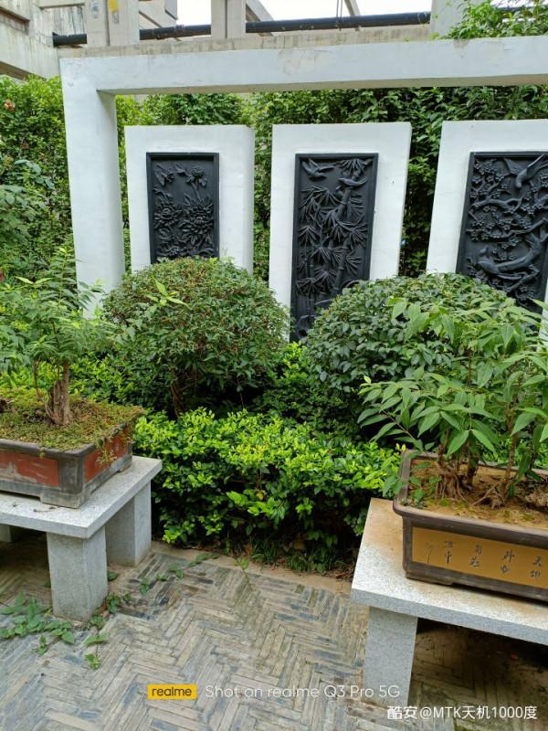 再一次信任聯發科？&mdash;&mdash;真我Q3Pro深度測評