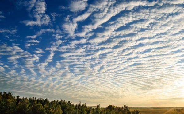 百科時間 雲 請收藏 百科時間 雲 請收藏