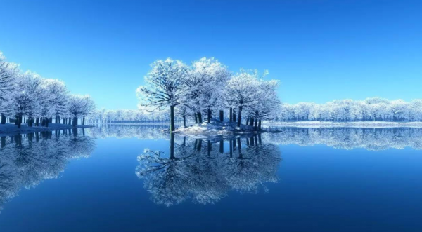 「詩詞鑑賞」遇見初冬,十首初冬的詩詞,遇見初冬別樣的美 「詩詞鑑賞」遇見初冬,十首初冬的詩詞,遇見初冬別樣的美