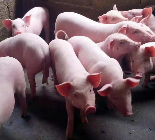 西班牙湖成“廁所”，英國說出原因，這次又想讓中國人負責？