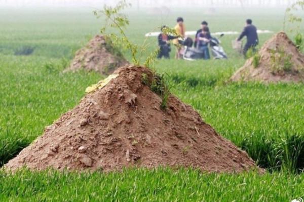 農村殯葬改革，土葬好還是火葬好？