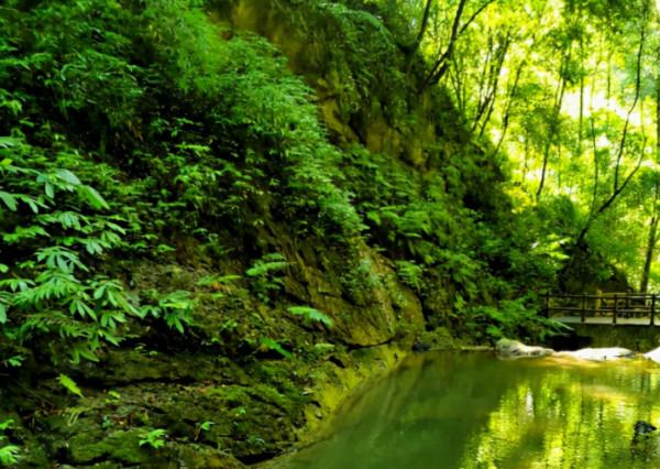 除了飛瀑、峽谷，萬盛黑山谷南天門竟藏有這樣的美景