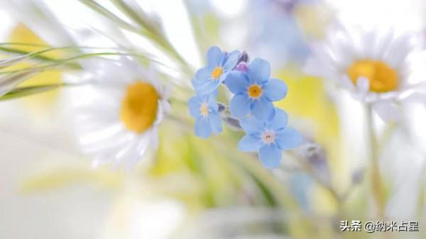 2022年十二星座月份運勢(簡版)