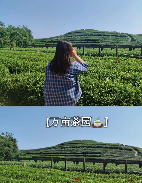 你不出去旅遊,怎麼知道生活值得熱愛? 你不出去旅遊,怎麼知道生活值得熱愛?