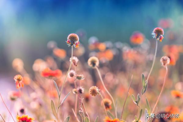 做好這三點，掌握人生的方向盤，活出純粹真我