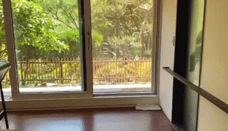 這位80後太太很有眼光，買下被人嫌棄的一樓，裝修後被超多人羨慕