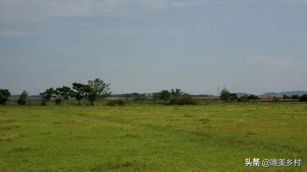 農村土地要統一耕種，小農戶怎麼辦？兩種選擇，大小農業做引領