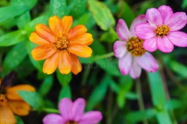 背起行囊去旅行