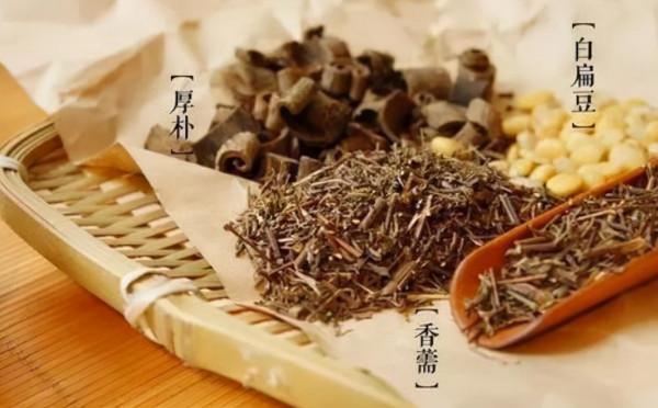 它叫“牙刷草”，真的能“刷”去口臭，還能祛溼、消胃脹！