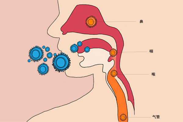 經常感覺背疼，5種原因逐一排查，試試3種鍛鍊方法，預防腰背痛
