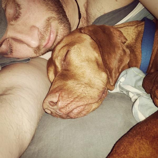 狗狗工作11年救下1700多隻瀕危奇異鳥！終於退休躺沙發啦