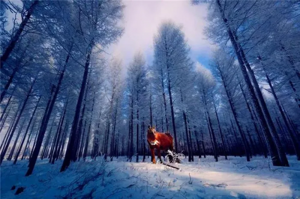 最美冬天的10個旅行地，去過6個就&OpenCurlyDoubleQuote;此生無憾&rdquo;了，你去過幾個？