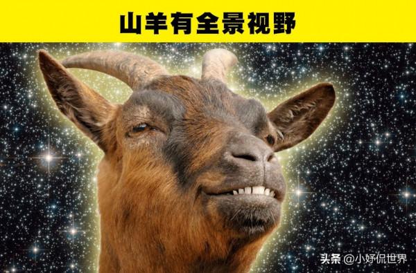 動物冷知識:足以讓人類羨慕的7種動物的特殊能力 動物冷知識:足以讓人類羨慕的7種動物的特殊能力