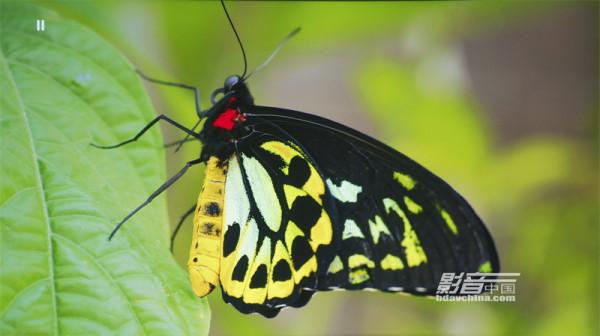 ViewSonic（優派）TX5000K：客廳百寸大屏市場的有力競爭者，擁有搶眼色彩的LED超短焦投影新貴