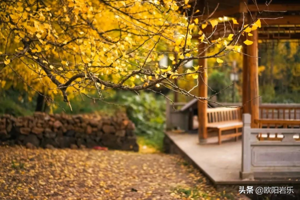 國內一生必打卡的20個地方，去過8個才算及格，你去過幾個呢？