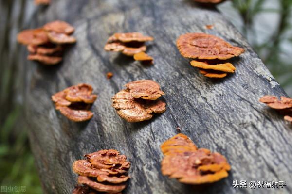 真正安全有效的美容知識 真正安全有效的美容知識