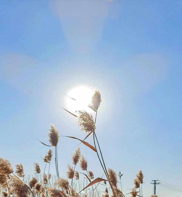 散文:《我的老妻》 散文:《我的老妻》