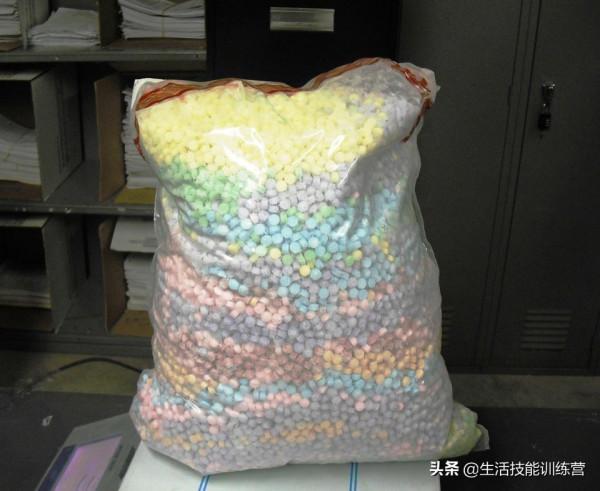 你見過躲雨的火烈鳥嗎？30張趣圖讓你大開眼界