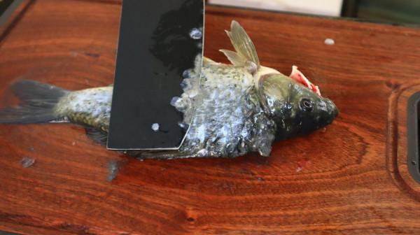 燉鯽魚湯，別直接下鍋，記住“4個重點”，湯鮮味美，顏色濃白