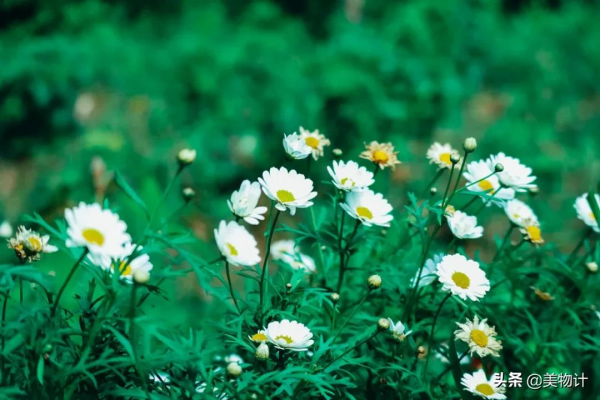 餘生，願你有恰到好處的幸福
