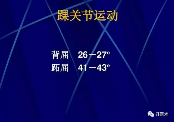 86張全身關節應用解剖精講，這篇文章值得收藏