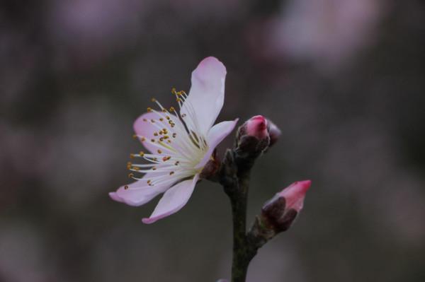 有一種心態，叫“捨得”