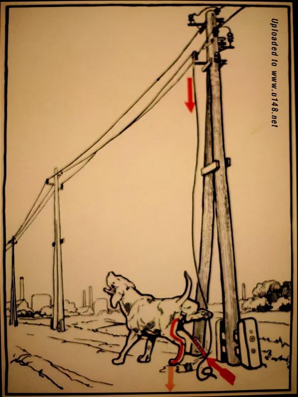 87年前的德國電力安全圖冊:極易發生觸電的30個瞬間 87年前的德國電力安全圖冊:極易發生觸電的30個瞬間