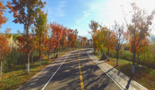 美成故事！這條路用紅、黃、藍三色驚豔了冬日時光