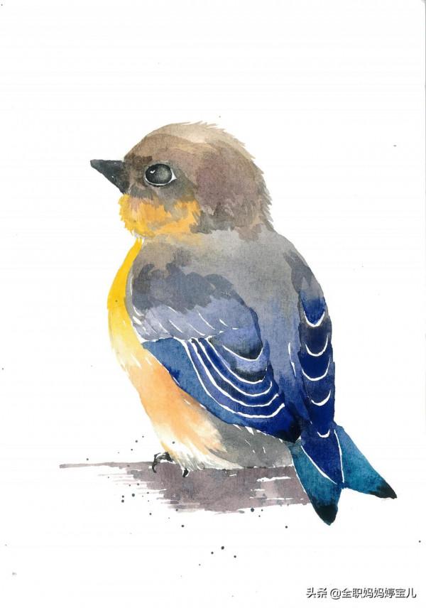 分享——栩栩如生的水彩鳥兒圖