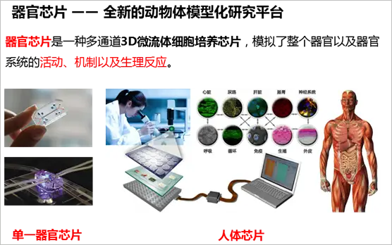 微流控晶片在IVD領域應用現狀、關鍵技術、未來發展趨勢大盤點