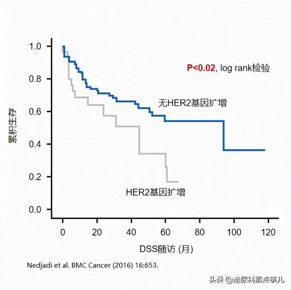 病例分享 | 維迪西妥單抗(RC-48)聯合PD-1在膀胱癌中的應用 病例分享 | 維迪西妥單抗(RC-48)聯合PD-1在膀胱癌中的應用