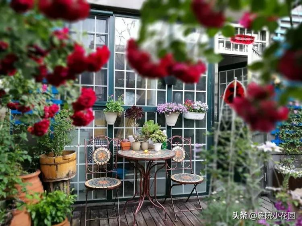 這樣的小院就是我夢想中的花園