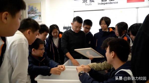 教育動態｜南外雨花國際學校舉行“芯融合•創共享”第三屆科技節