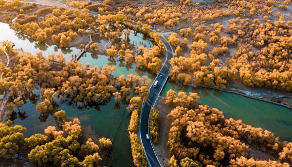 國內6條迷人的秋色美景自駕路線，帶你過一個精彩的秋天