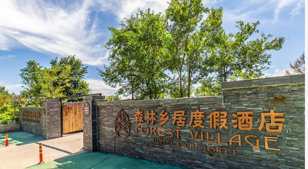 香椿打滷麵等特色美食上新!大廚獻藝,房山這些網紅民宿真“有味道” 香椿打滷麵等特色美食上新!大廚獻藝,房山這些網紅民宿真“有味道”