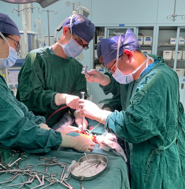 鼻頭一粒小疙瘩，幾年長成黑色“乒乓球”，一查竟是癌