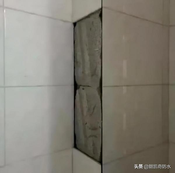 教你如何辨別背膠摻了水，超實用