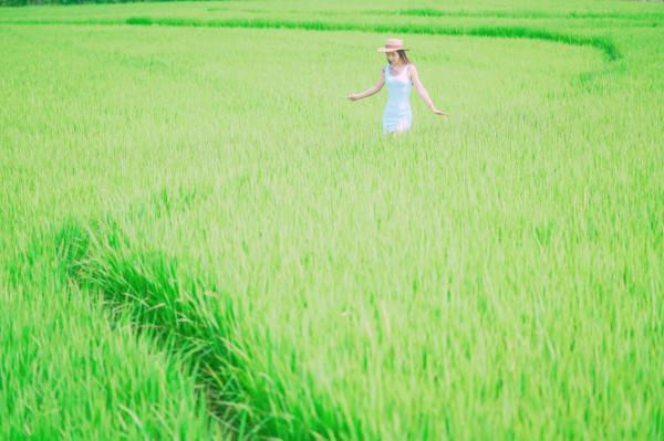 常被當成是湖南的廣東城市，為什麼沒“廣東腔”？