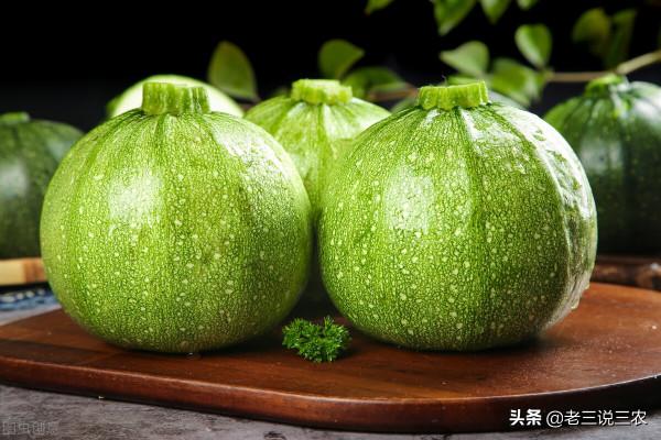 只要一碗淘米水，不花一分錢！黃瓜，西瓜結得多，吃不完，都羨慕