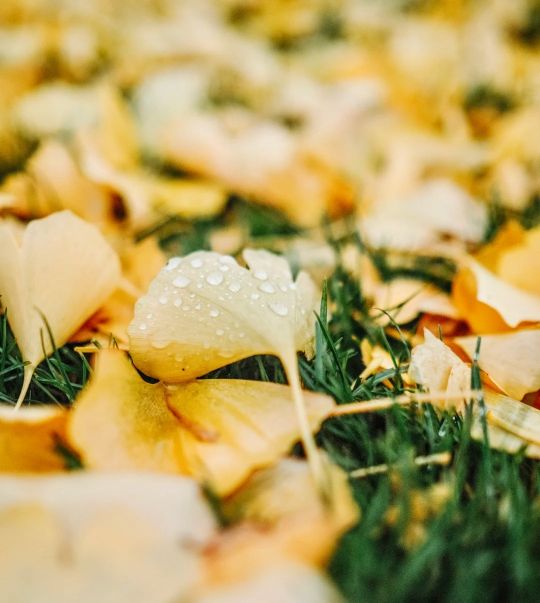 二手房和小戶型的房子,應該如何避免入手後後悔? 二手房和小戶型的房子,應該如何避免入手後後悔?