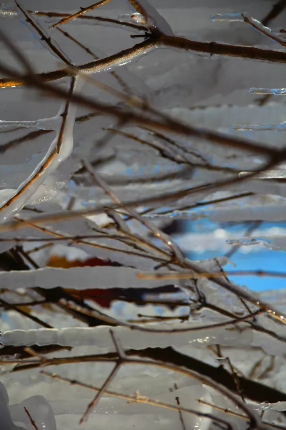 旅遊 | 快看！黃金寨出現冰掛美景